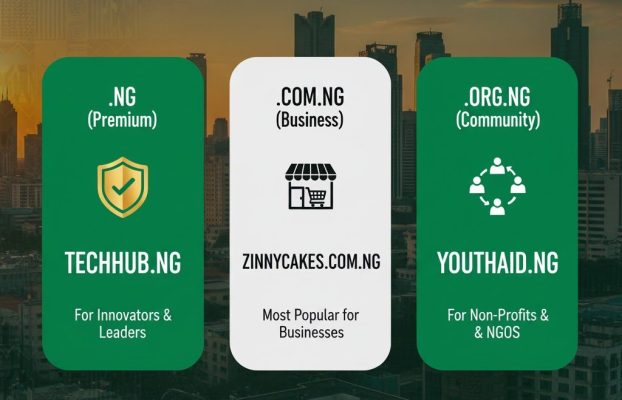 Choosing the Best .ng Domains for SMEs