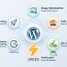 top wordpress plugins for speed and website performance