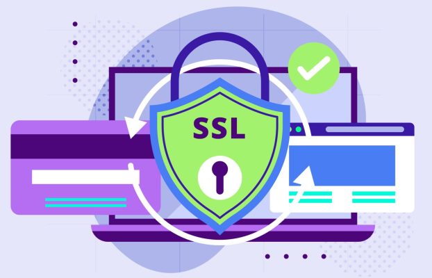 Free SSL vs Paid SSL 2026: Complete Comparison Guide for Websites